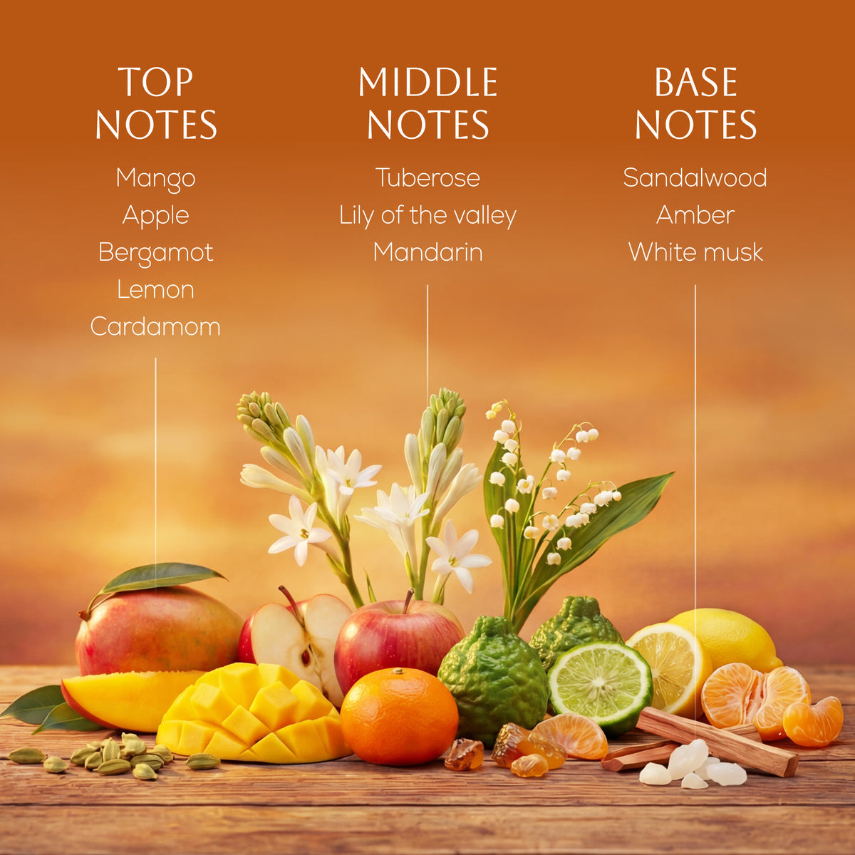 Ahuja Mangue Mood 3.4 Parfum