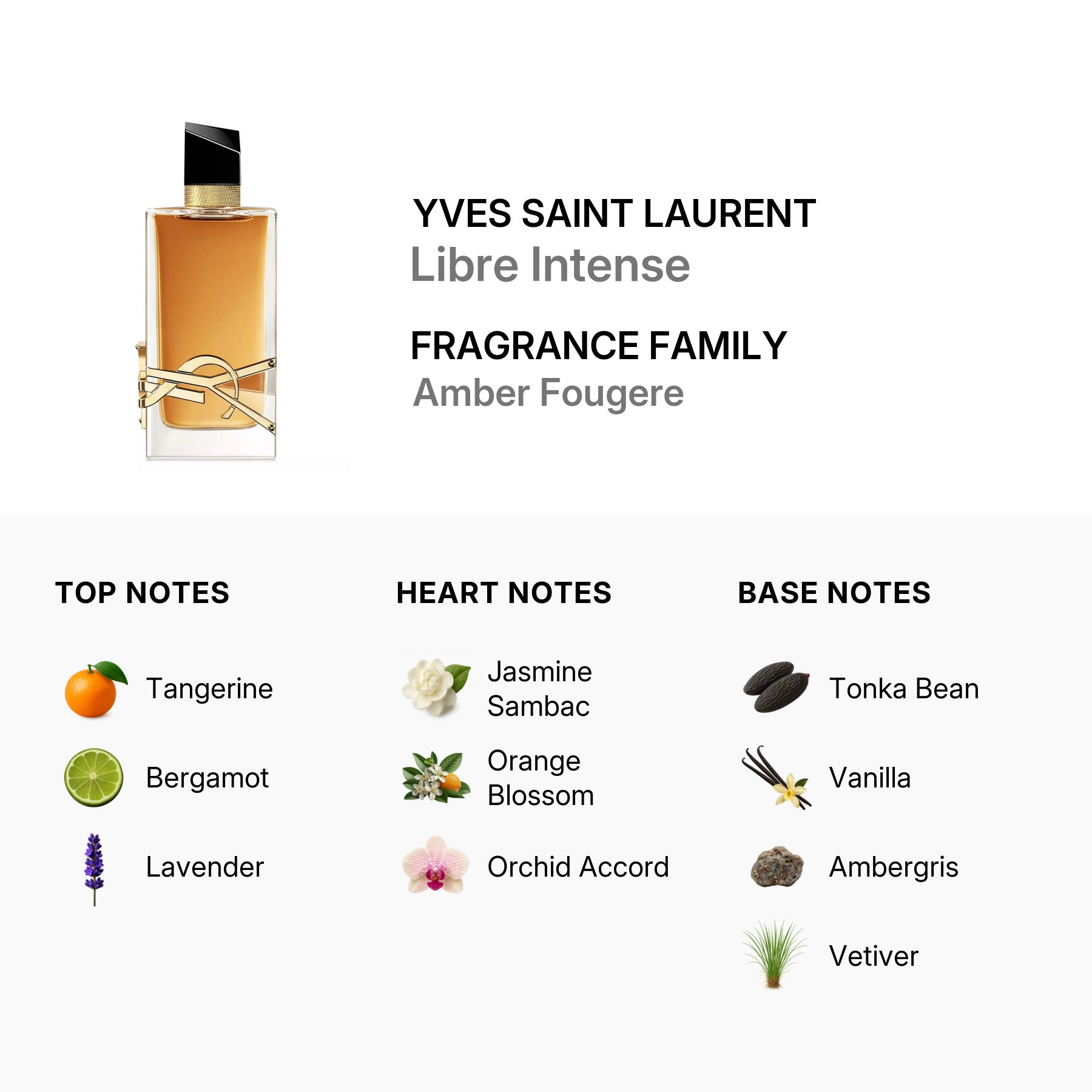 Yves Saint Laurent Ladies Libre Intense 3oz EDP